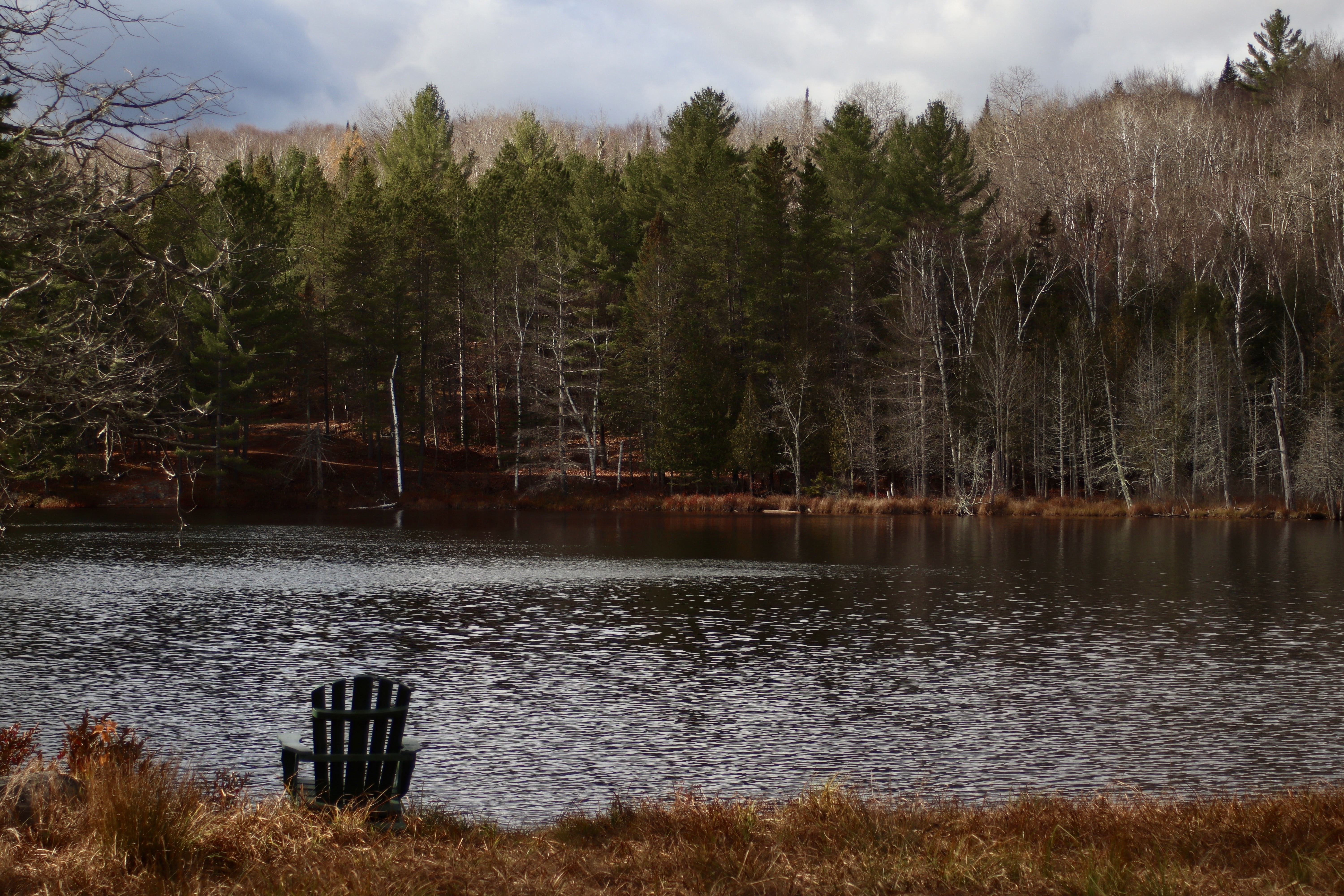 Vue sur le lac - Domaine Saint Bernard