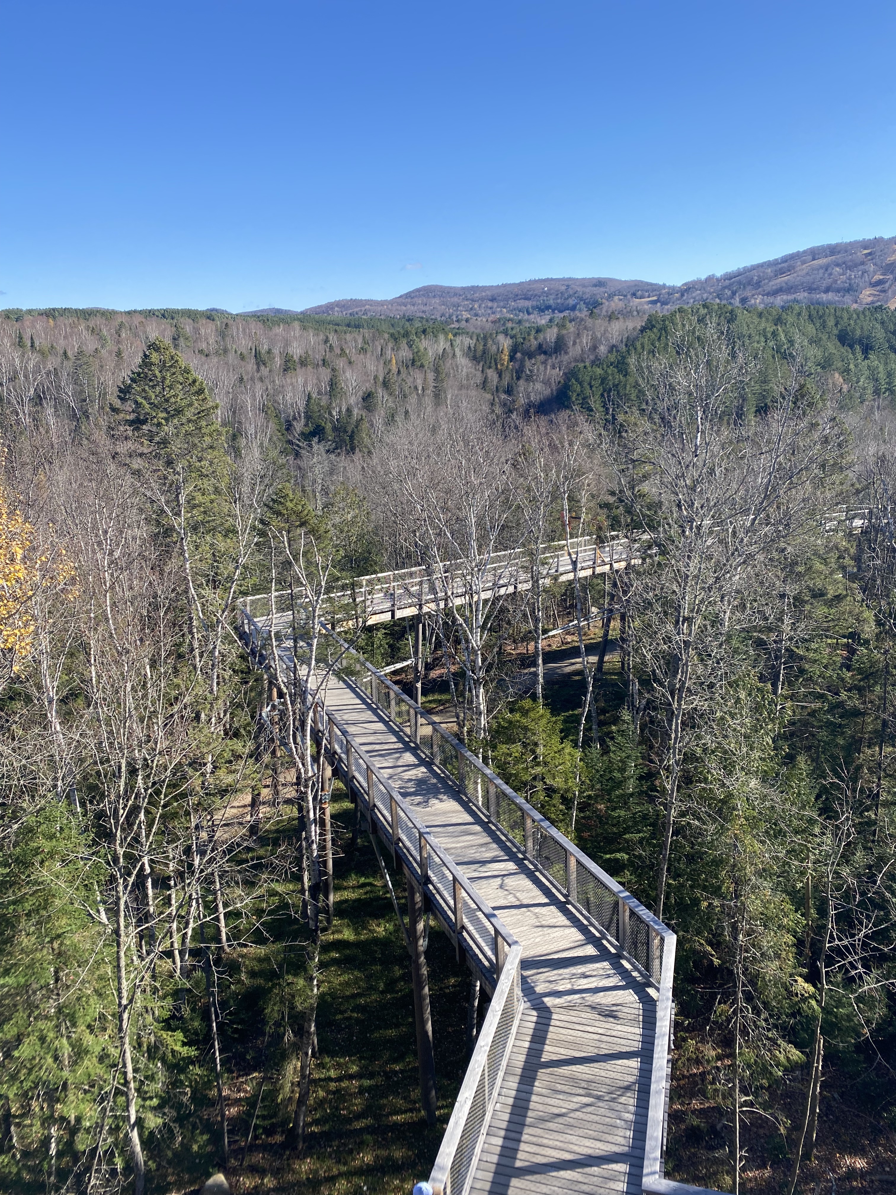 Passerelle pour accéder au sentier des cimes