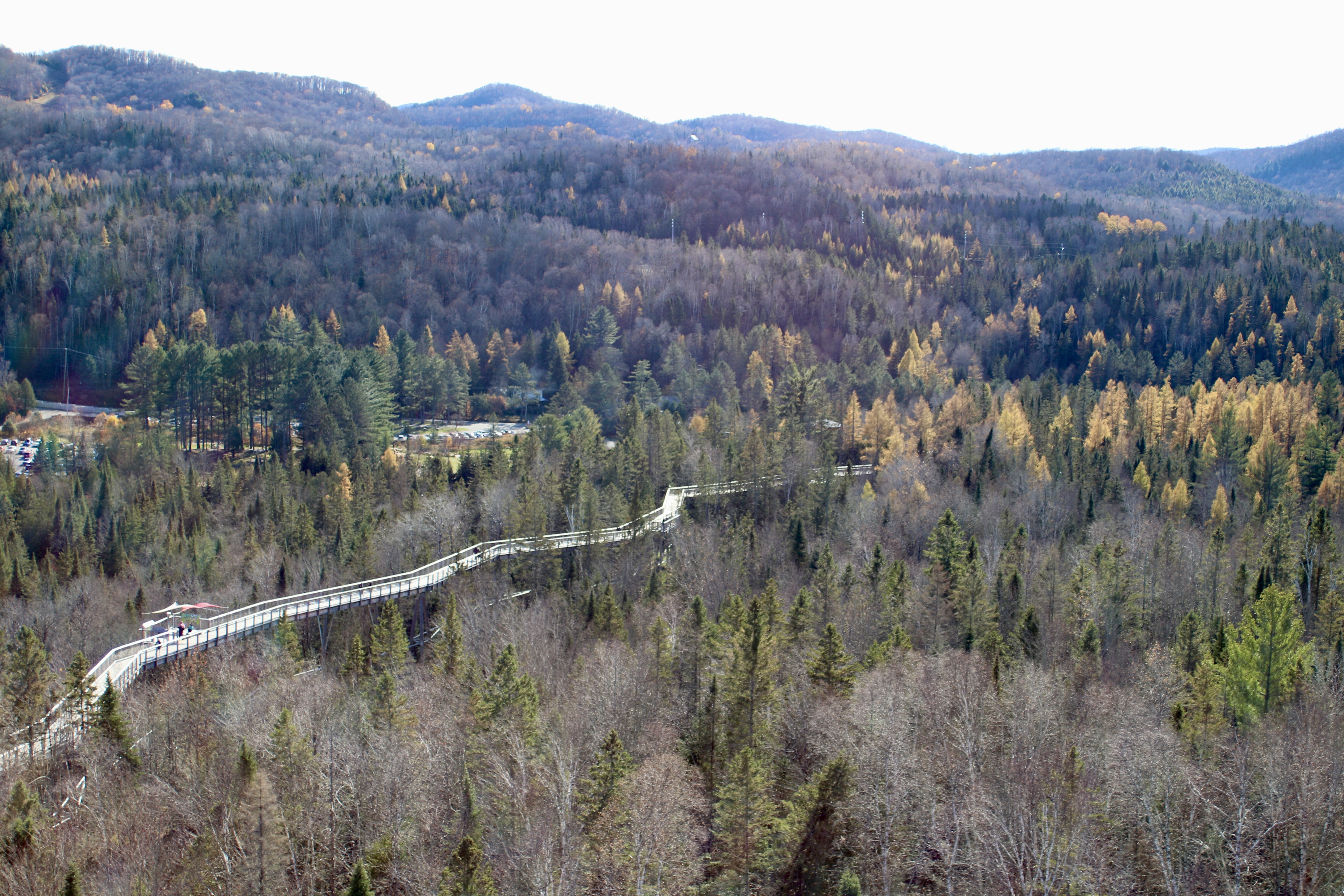 Vue du sommet - sentier des cimes