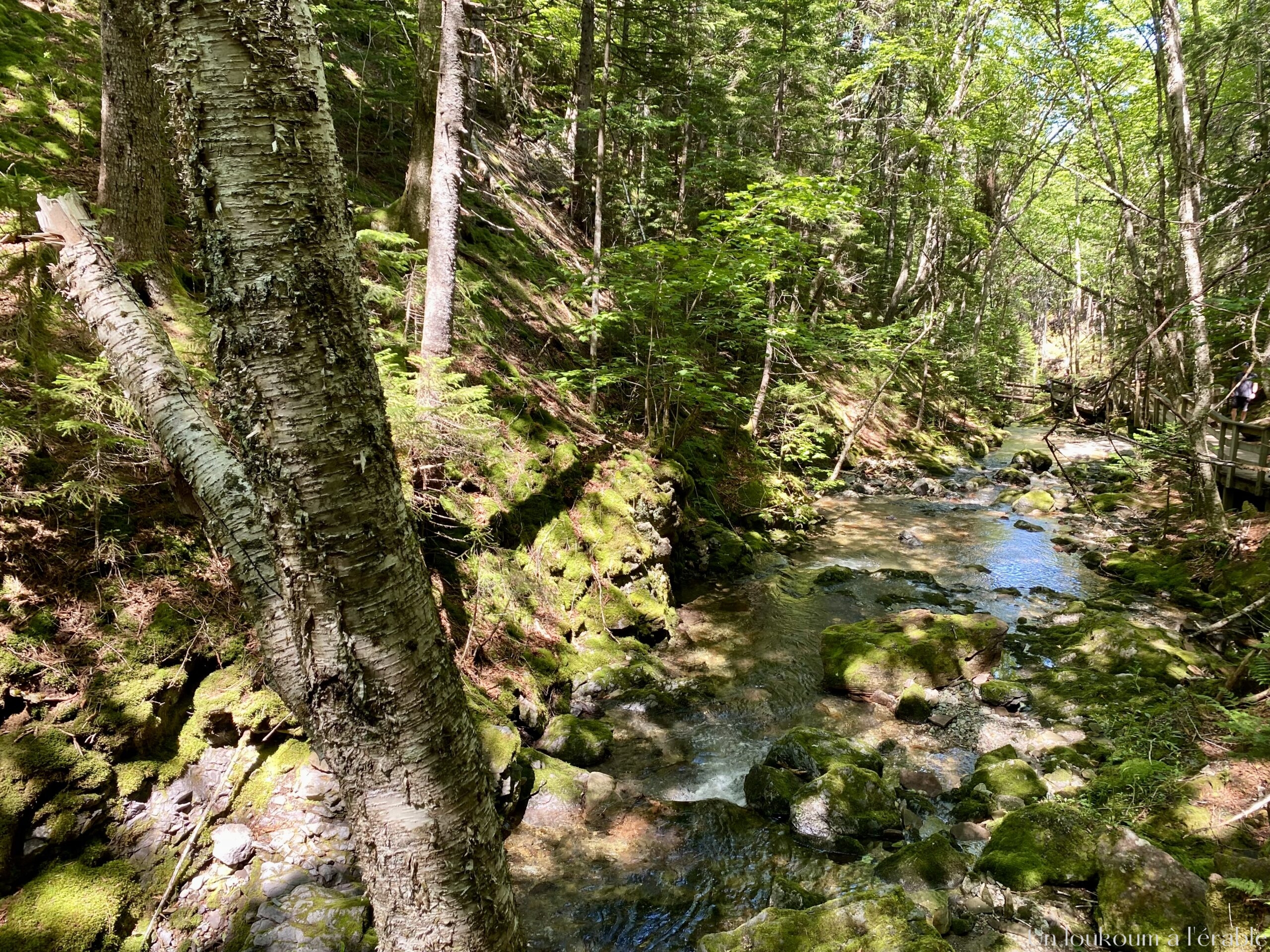 sentir des chutes dickson